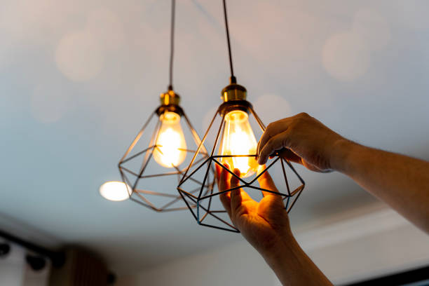 Best Electrical Upgrades for Homes  in Holland, MI