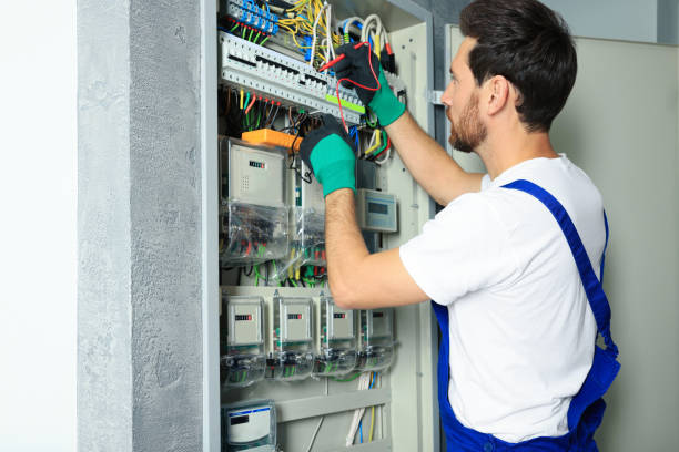 Best Electrical Troubleshooting Services  in Holland, MI